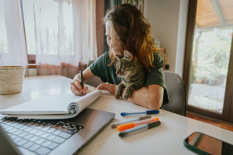 DIY Debt Settlement Pros and Cons